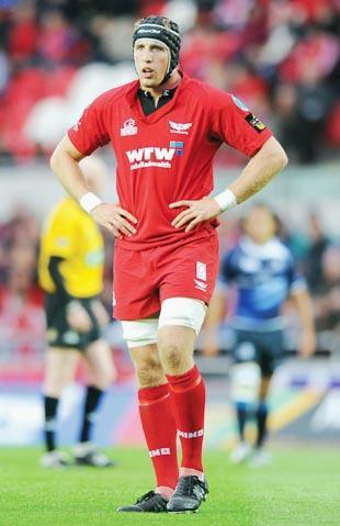 Dominic Day with the Scarlets